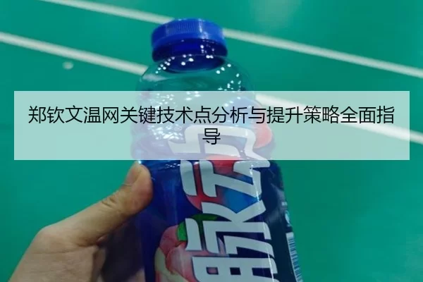 郑钦文温网关键技术点分析与提升策略全面指导